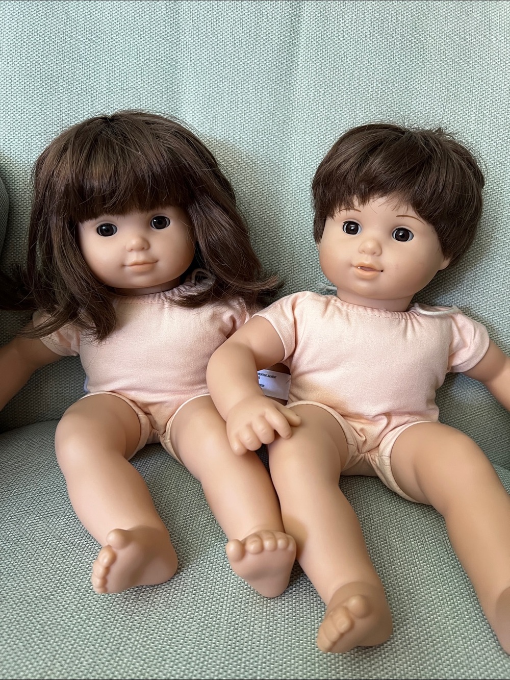 Bitty Baby twins brunette